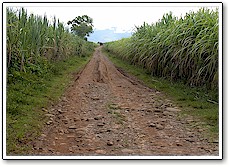 Tokaido Road, vicinity Napilas, facing southeast 